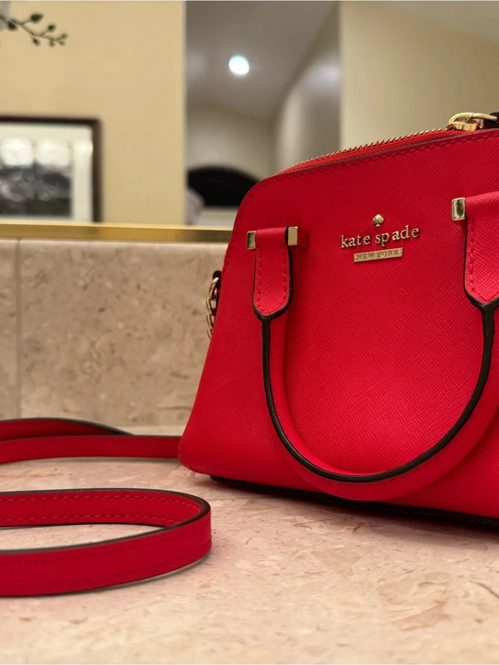 Kate Spade Cedar Street Mini Maise Crossbody Satchel with Chain Strap